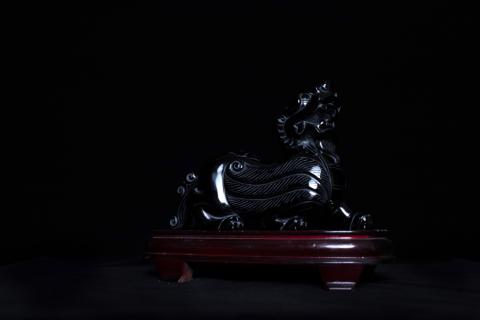 Emily Hsu - 單色黑背