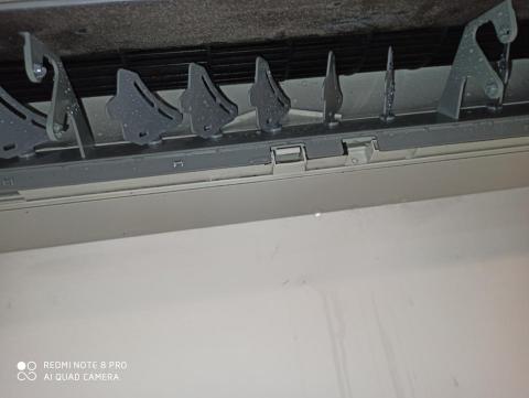 林少鴻 - 保養後