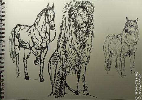 靈果繪畫工作室 - 速寫