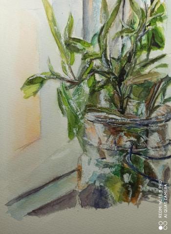 靈果繪畫工作室 - 靜物