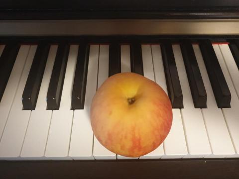 Birdie - 蘋果鋼琴