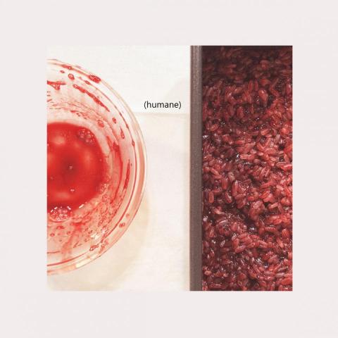 KASIWA - 李柏萱個展《Humane》酷卡-正面