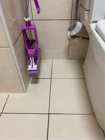 瑈 (Nicole)居家清潔/到府簡單剪髮 - 清潔完