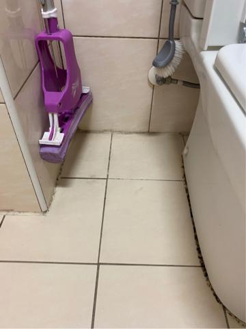 瑈 (Nicole)居家清潔/到府簡單剪髮 - 輕微除黴前