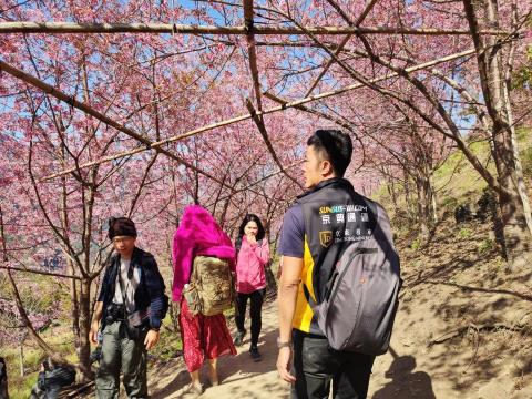 京東小客車 約瑟夫 oldyoung99 - 司馬庫斯