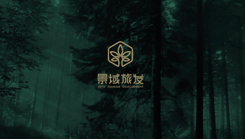 以魚科技管理顧問有限公司 - Logo設計案例