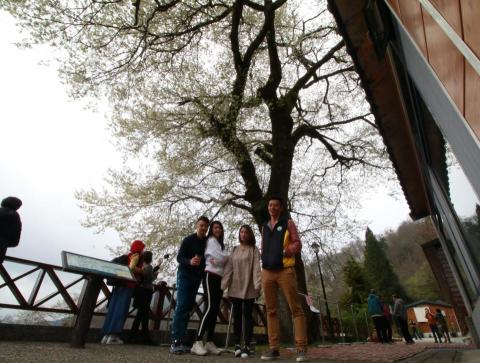 京東小客車 約瑟夫 oldyoung99 - 