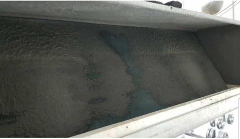 王駿翰 - 清洗前