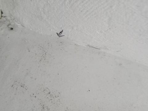 約終生居家水電維修 - 上完防水漆，放水測試，浸泡一天