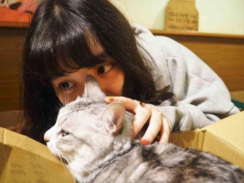 曹藝萱