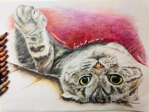 AG.Design 設計室 - 手繪色鉛筆