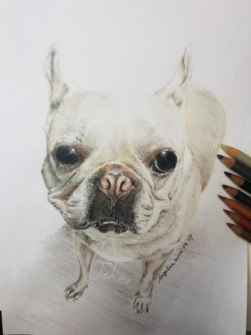 AG.Design 設計室 - 手繪色鉛筆