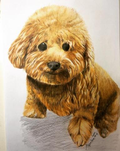 AG.Design 設計室 - 手繪色鉛筆