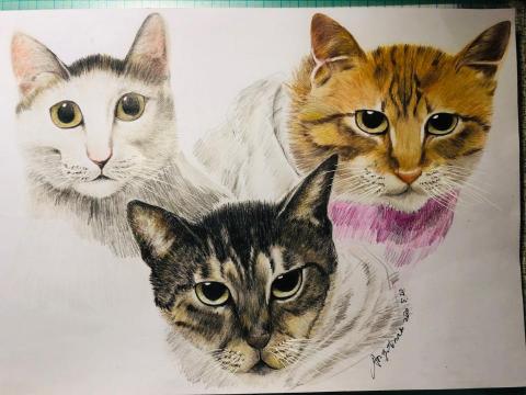 AG.Design 設計室 - 手繪色鉛筆