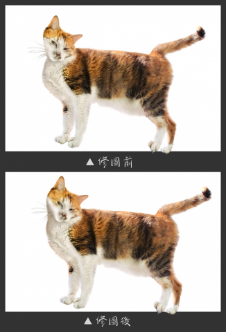 調色盤工作坊 / 頻頻 - Pro360接案修圖