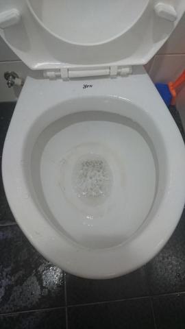 張采彙 - 馬桶髒汙