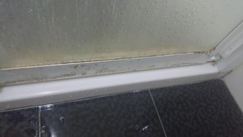 張采彙 - 浴室清潔前