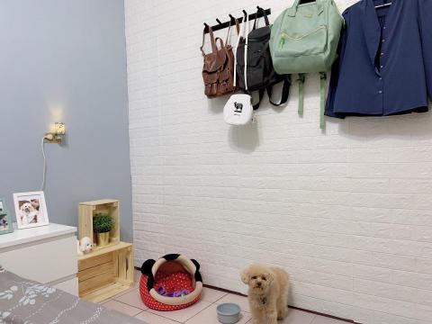 Nicole Gao - 改造後