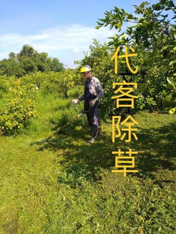 提供除草服務的專家啟澤實業社