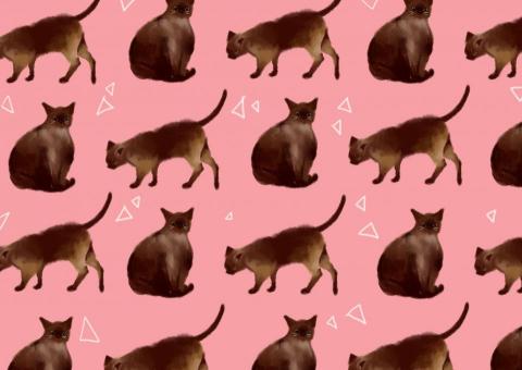 TZU-JUNG 插畫、平面設計 - 