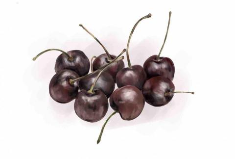 廖思婷 - 手繪美食-櫻桃