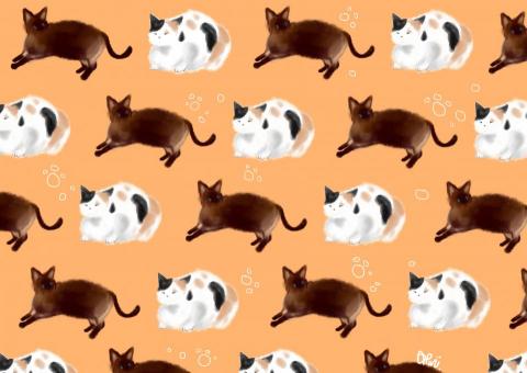 TZU-JUNG 插畫、平面設計 - 