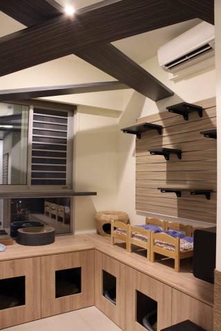 畫閣室內設計有限公司 - 現代貓屋