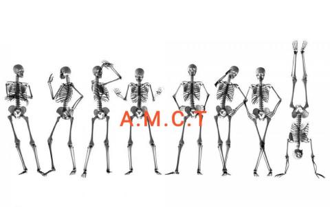 提供整復服務的專家楊醫師脊骨整復調理工作室