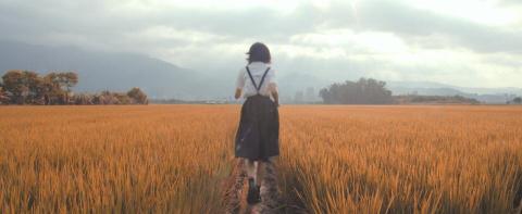 扶桑花影像 - 劇情片