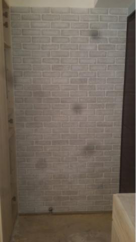 陳慶鴻 - 白色文化石