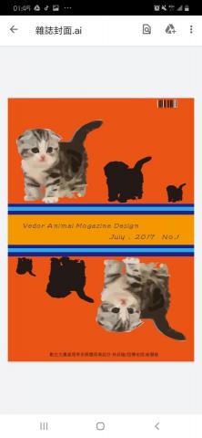 林叔璇 - 封面設計