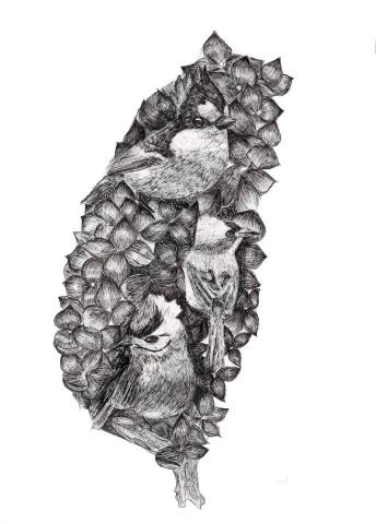 張瑜庭 - 代針筆