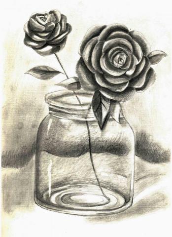 張瑜庭 - 素描玫瑰花