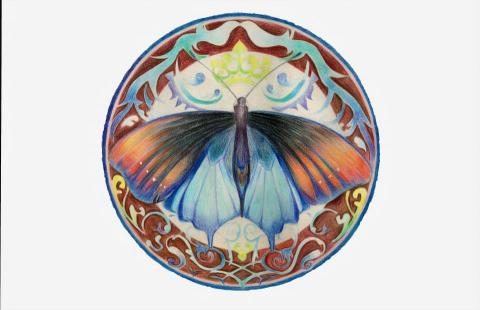 張瑜庭 - 色鉛筆蝴蝶