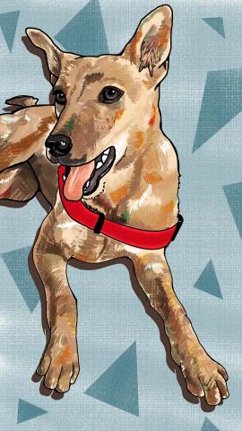 微風工作室 - 電腦繪圖，客制化寵物插圖