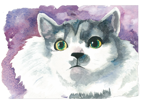 微風工作室 - 手繪水彩插圖