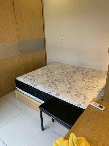 布萊頓環衛 -  布萊頓環衛 -