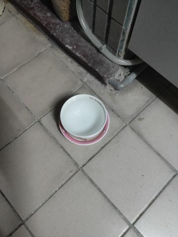 林宏璋 - 飲水更換 水碗清洗