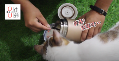 林語 Lynnyu - 重點字卡+動畫