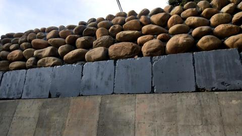 龍勝油漆水電木工園藝整地工程行 - 