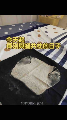 林凭輝 - 
