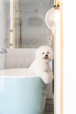 有隅空間規劃所 - 