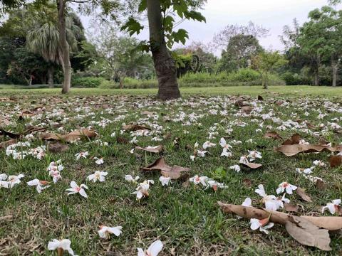 提供吳曉琪服務的專家古汶琪