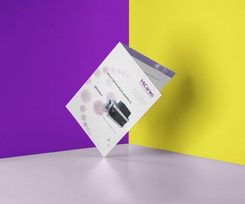 謝佳妤 - 產品型錄編排設計