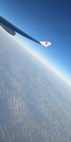 Lucky Sparrow 🙊🙉🙈 - :) Lucky Sparrow 🙊🙉🙈 - :)