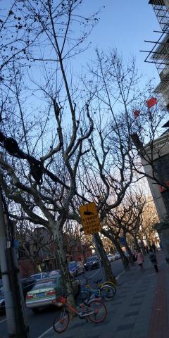 Lucky Sparrow 🙊🙉🙈 - 有一天,突然學會了享受孤獨 Lucky Sparrow 🙊🙉🙈 - 有一天,突然學會了享受孤獨