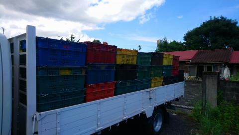 林中元（阿元託運服務） - 