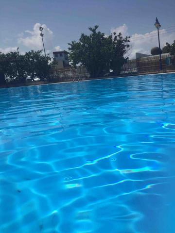 提供琴鍵服務的專家未使用