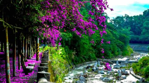 藍斯洛 影像創作 -  藍斯洛 影像創作 -