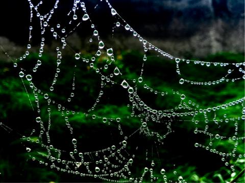 藍斯洛 影像創作 -  藍斯洛 影像創作 -